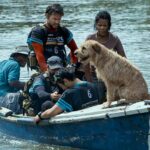 دانلود فیلم آرتور شاه 2024