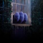 دانلود فیلم اگر 2024