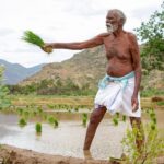 دانلود فیلم آخرین کشاورز 2021