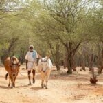 دانلود فیلم آخرین کشاورز 2021