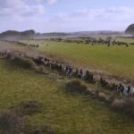 دانلود فیلم سه تفنگدار: میلادی 2023