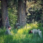 دانلود فیلم اسیدمن 2022