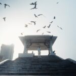 دانلود فیلم همه آن چیزی که نفس میکشد 2022
