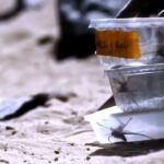 دانلود فیلم آلوده شده 2023