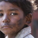 دانلود فیلم شیر نر 2016