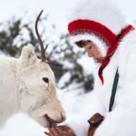 دانلود فیلم ربوده شده 2024