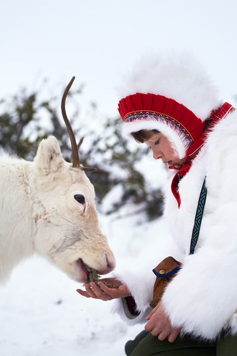 دانلود فیلم ربوده شده 2024