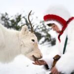 دانلود فیلم ربوده شده 2024