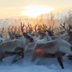 دانلود فیلم ربوده شده 2024