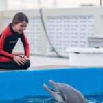 دانلود فیلم برنی دلفین 2 2019