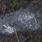 دانلود فیلم افسانه بزرگ 2018