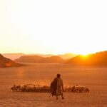 دانلود فیلم زندگی نجیب 2024