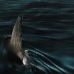 دانلود فیلم زیر پاریس 2024