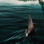 دانلود فیلم زیر پاریس 2024