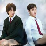 دانلود سریال بازگشت یک گانگستر به دبیرستان 2024