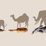 دانلود سریال پستانداران 2024