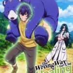 دانلود انیمه روش نادرست استفاده از جادوی شفابخش 2024