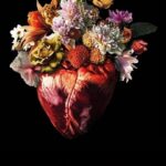 دانلود فیلم امیلیا پرز 2024