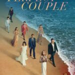 دانلود سریال زوج بی نقص 2024