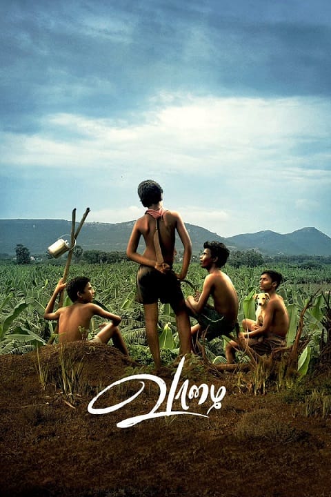 دانلود فیلم ویدا مویارچی 2025