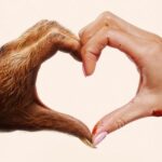 دانلود فیلم هیولای تو 2024