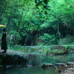 دانلود فیلم سه شمشیر زن 2 2017