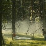 دانلود فیلم گمشده در کوهستان مین 2024