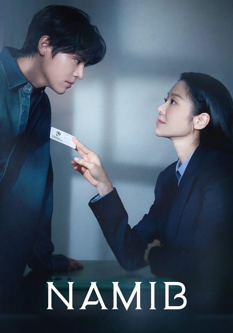 سریال مهمانخانه رمانتیک مخفی