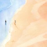 دانلود سریال نامیب 2024