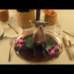 دانلود سریال مرحله فرعی 2025