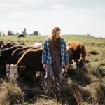 دانلود فیلم سبز و طلایی