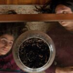 دانلود فیلم سپتامبر میگه 2024