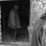 دانلود فیلم  اسب تورین 2011