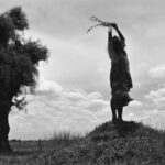 دانلود فیلم  اسب تورین 2011