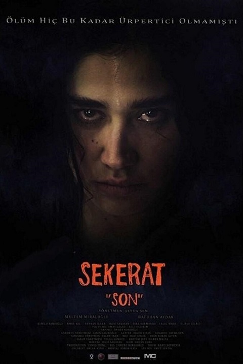 دانلود فیلم آخرین نقاشی 2016