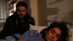 دانلود فیلم آخرین نقاشی 2016